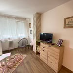 Alquiler de un acogedor piso de 2 habitaciones, 46 m², en el distrito de Vračar, Belgrado, Serbia